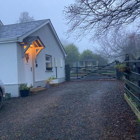 Beech Tree Cottage Glenwherry Eksteriør billede