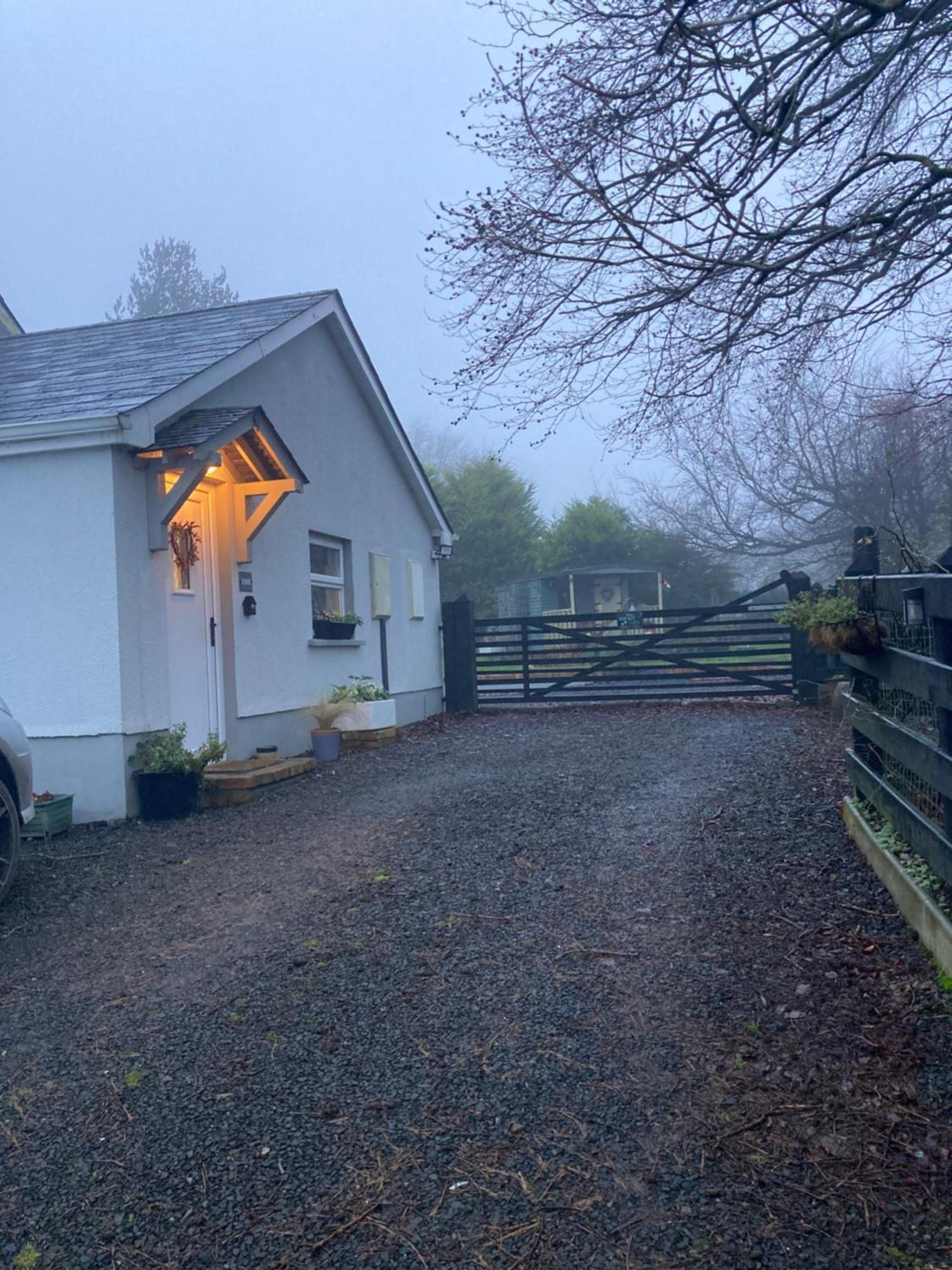 Beech Tree Cottage Glenwherry Eksteriør billede